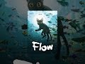 Flow