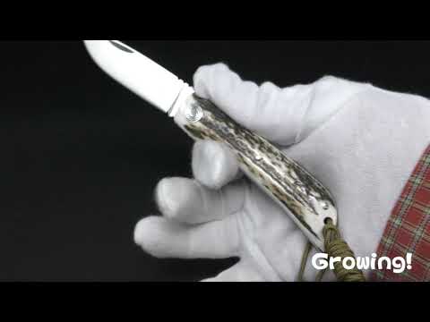 MIGUEL NIETO【ミゲル ニエト】■ カンパーナ 【14C28N】【スタッグ】【スリップジョイント】 Campana