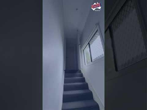 Mould on Ceiling? Don’t let mould damage your property!