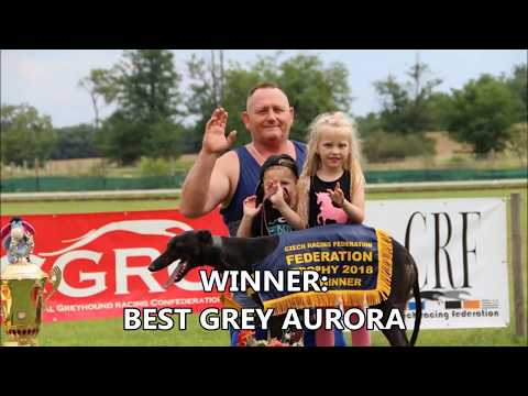 FEDERATION TROPHY A2 FINAL 08/07/18