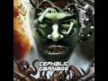 Cephalic Carnage - Extreme Of Paranoia With Lyrics