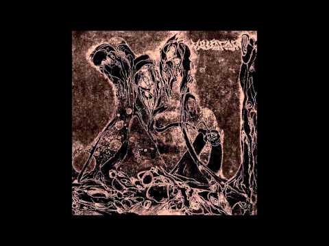 Vassafor - Archeonauts Return