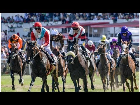 Hengst Weltstar gewinnt deutsches Galopp-Derby