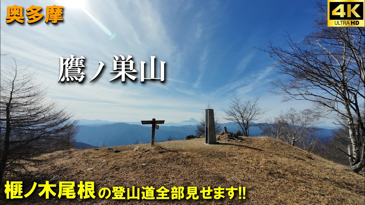 【登山体験】鷹ノ巣山、長めのゆるハイクで石尾根の名峰へ！！／榧ノ木尾根からの登山道全部見せます！／2026/02