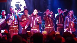 Mariachi El Bronx - Right Between The Eyes