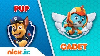 PAW Patrol &amp; Top Wing Trivia Game | Pup or Cadet Interactive Video | Nick Jr.
