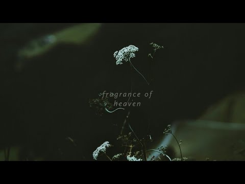 Amit Jha fragrance of heaven