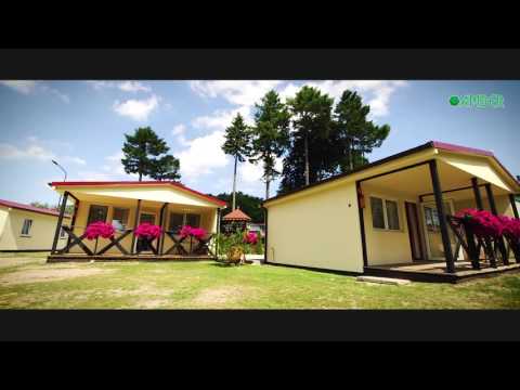 Amber Rewal    promo