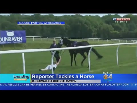 Trending: Reporter Stops Runaway Race Horse