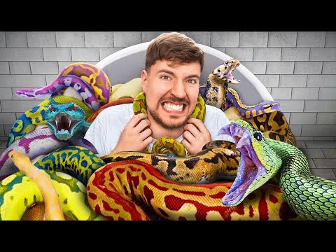 Would You Sit In Snakes For $10,000