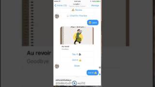 Review of LangBot