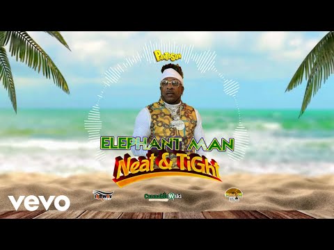 Elephant Man, Panta Son - Neat & Tight (Official Audio)