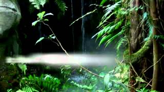 My Story in the Philippines in First Person by Peter Robinson