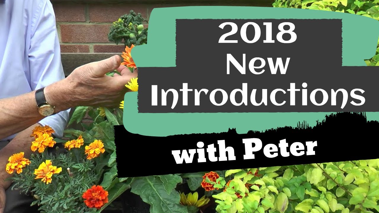 2018 New Introductions
