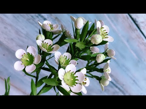 ABC TV | How To Make Chamelaucium Uncinatum Paper Flower With Shape Punch - Craft Tutorial