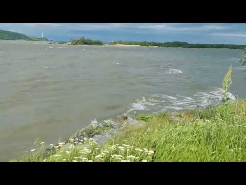 Dunărea la Bazias, 12.05.2023