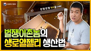 벌쟁이 촌놈이 알려주는 생로얄젤리 생산하는법