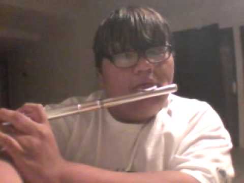 Rihanna - We Found Love on Flute