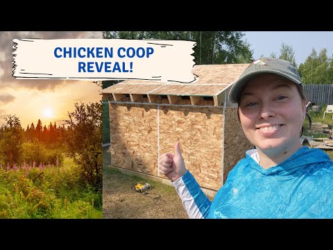 Chicken Coop Reveal! Built, painted, and ready for Chickens