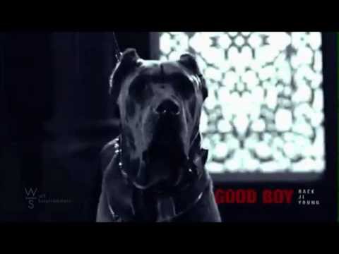 Baek Ji Young (백지영) _ Good Boy (feat Yong Jun Hyung of BEAST) male version