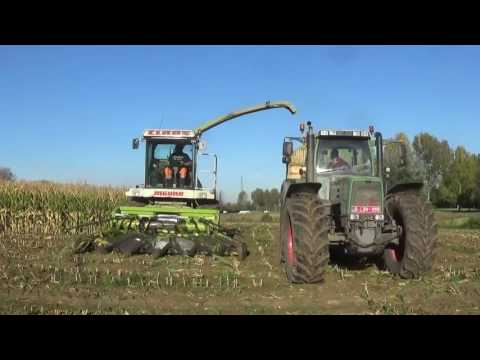 Loonw. de Rijck - Kruibeke - maïs hakselen - Claas Jaguar 695SL