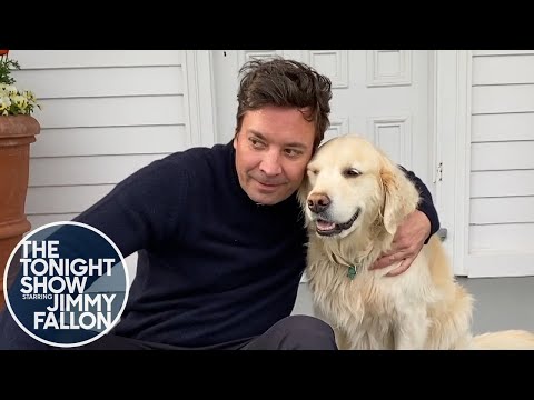 Gary the Dog Interviews Jeremy the Lizard