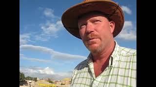 resehörnan vid pyramiderna i Giza, Egypten