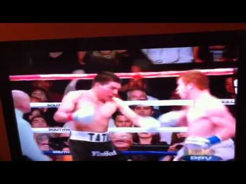El canelo vs baldomir KO, round 6