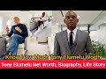 Tony Elumelu Net Worth, Biography, Family, Career, Early Beginning