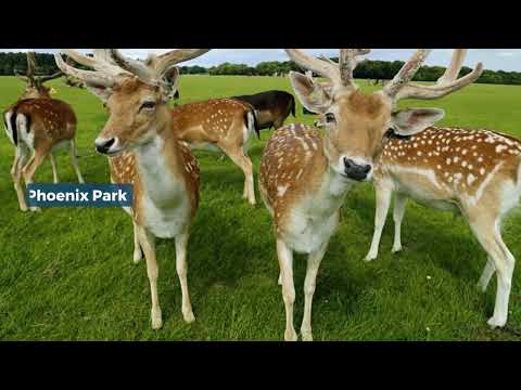 Best of the most beautiful places to visit in Ireland