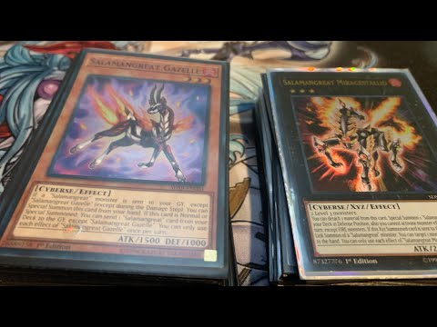 3RD PLACE PROVIDENCE REGIONAL TOP - Salamangreat