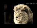 J.Robinson feat. Sun Of Selah - Lion Music VIP ...