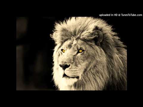 J.Robinson feat. Sun Of Selah - Lion Music VIP