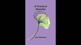 A Practical Novelist