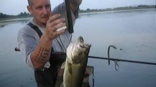 preview picture of video 'Large mouth Bass Delaware City, DE - July 24 2010 - The Dikes'