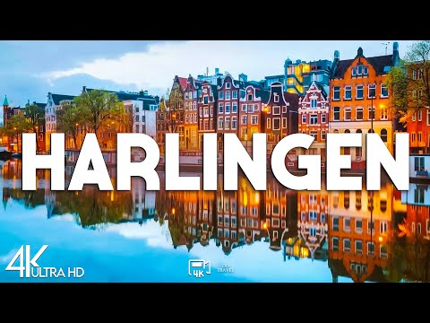 Top 10 Best Things to Do in Harlingen, Texas - Travel Guide 2025