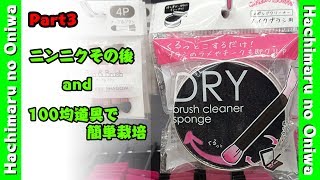 【オサカナ？の陸上生活】ニンニクその後Part3