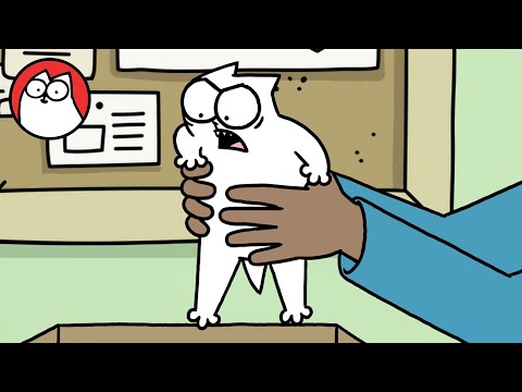 Simon's Cat: The Origins Story