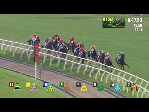 11/9/2022 (8) Eternal Bloom - Vincent Ho