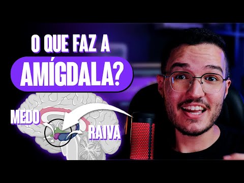 ENTENDA o papel da AMÍGDALA no MEDO!