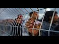 How Israel Enslaves Palestinians