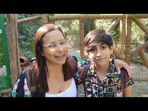 Visita a Terra dos Dinos em Miguel Pereira/RJ