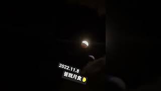 2022年11月8日