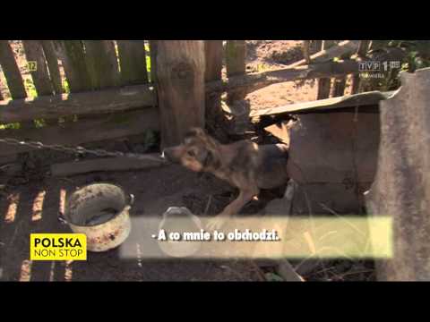 Polska non stop - Bez prądu i wody