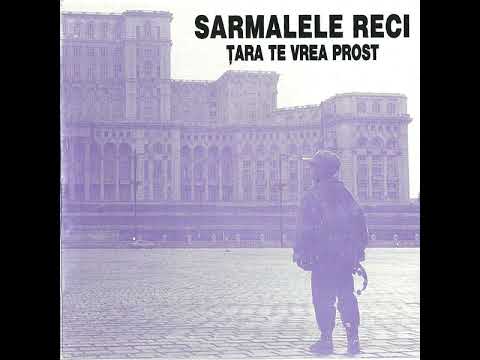 07 Violeta - Sarmalele Reci