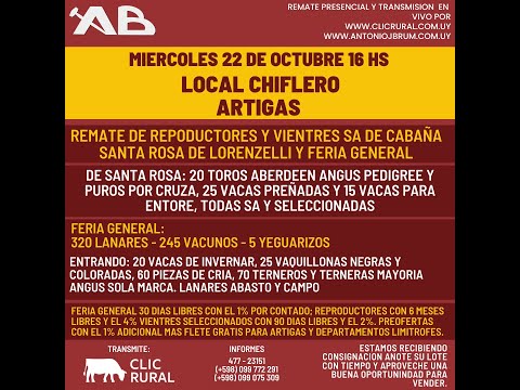 22/10/2025 Feria general y remate de reproductores - Antonio J. Brum / Local Chiflero - Artigas