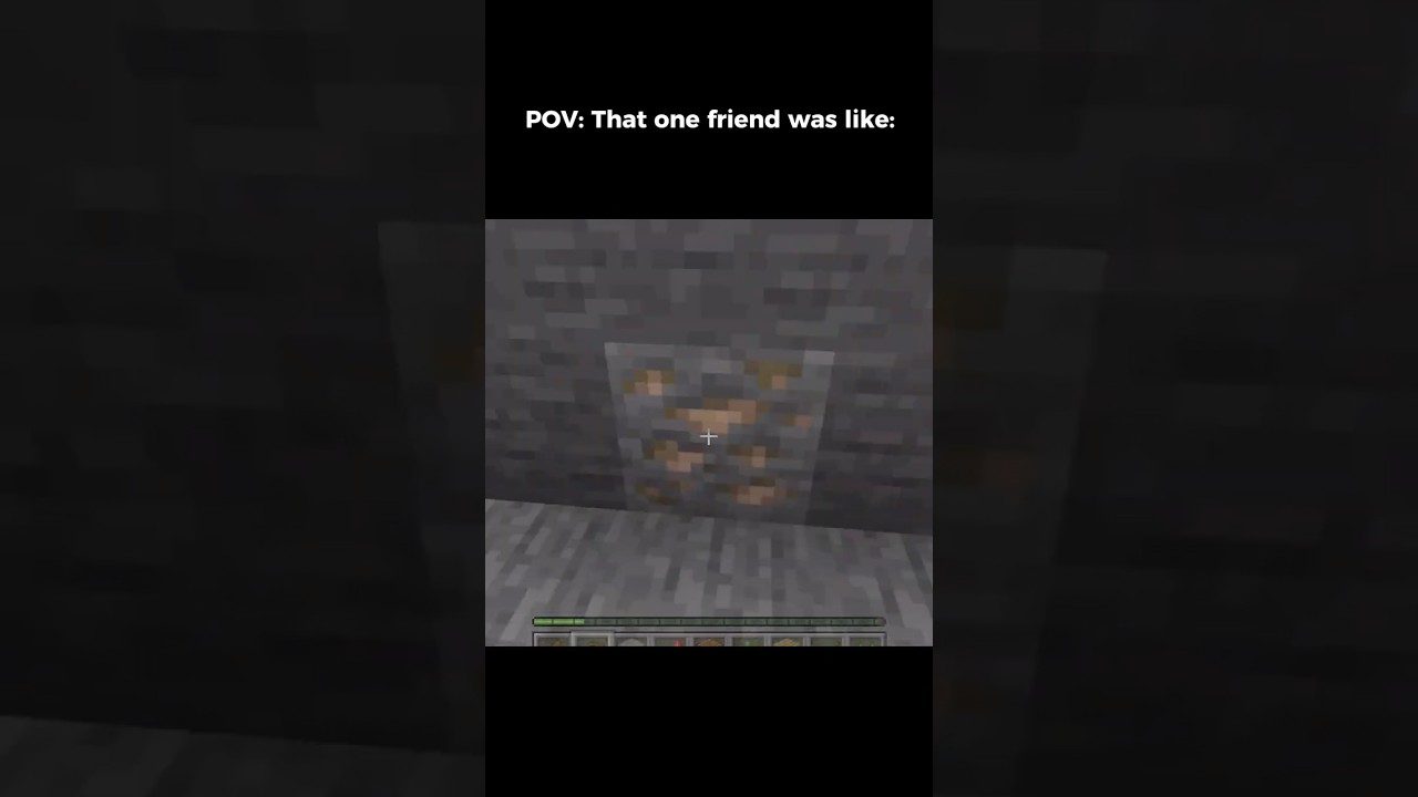 POV That one friend who when mining was like:
