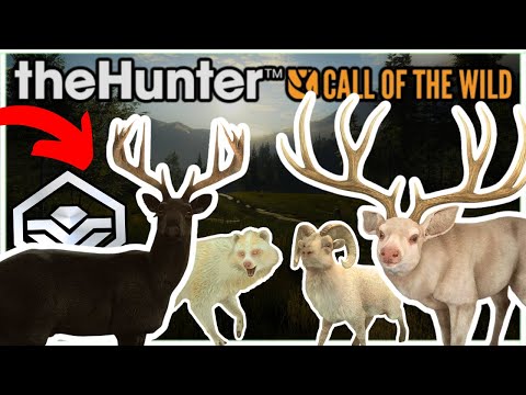 My Top 5 CRAZIEST Super Rares & Rares of 2025!! - Call of the Wild