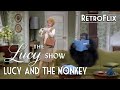 The Lucy Show Lucy And The Monkey S05E12 Comedy Series FULL LENGTH EPISODE