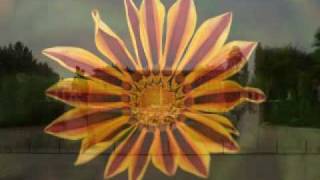 In The Presence Of A King